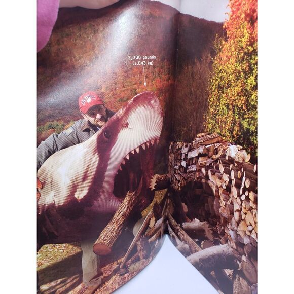 Scholastic How strong is it book - Picture 2 of 4